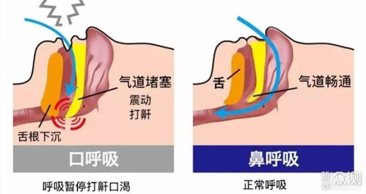 打鼾憋气危害大，快用乐普呼吸机止鼾神器_新浪众测