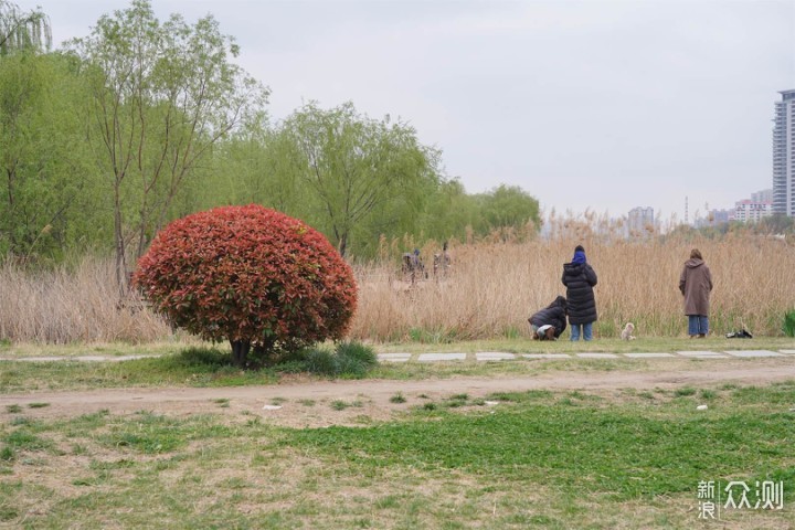 户外野营，聚会烧烤，让你摆脱用电焦虑_新浪众测