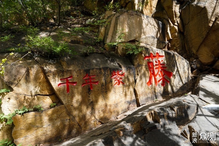 龙口十年之约 发现山东海边宝藏小城_新浪众测