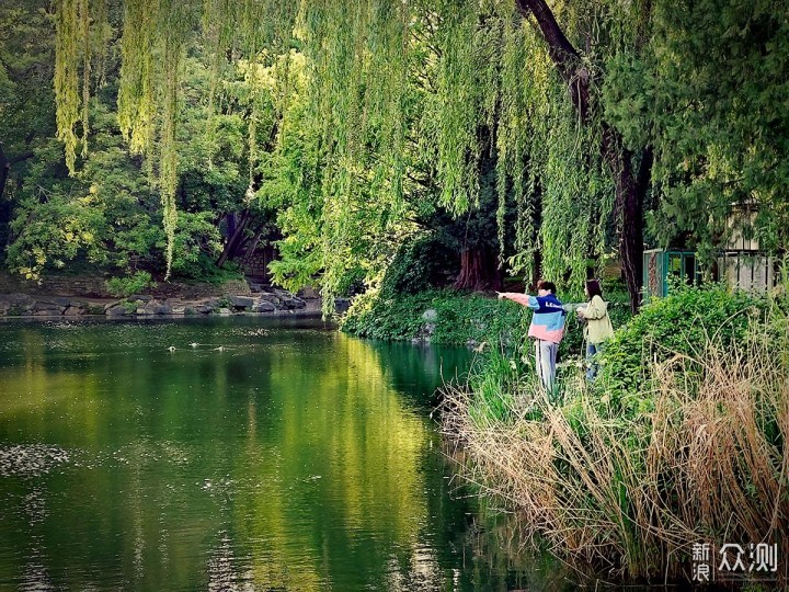 出游随拍，手机摄影让假期旅游变得更有乐趣_新浪众测