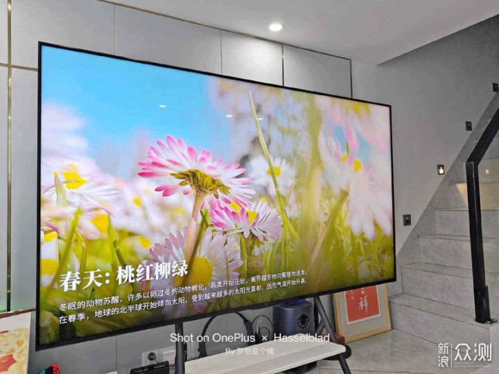 更值得买的Mini LED电视，TCL Q10H旗舰爆款王_新浪众测