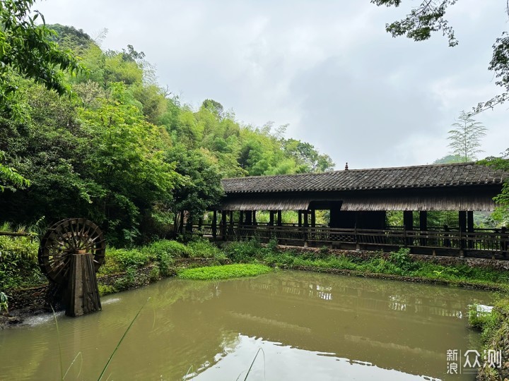 国内观鸟胜地，明溪旅游正当时_新浪众测