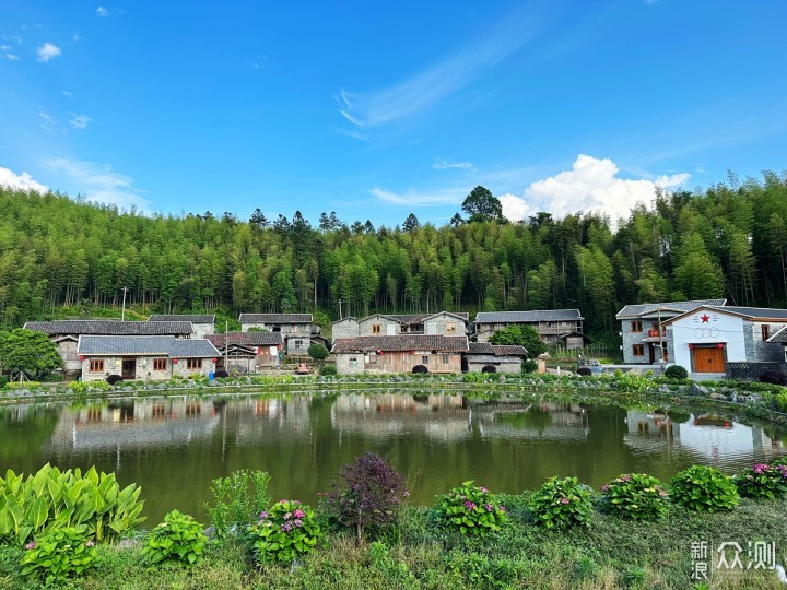 国内观鸟胜地，明溪旅游正当时_新浪众测