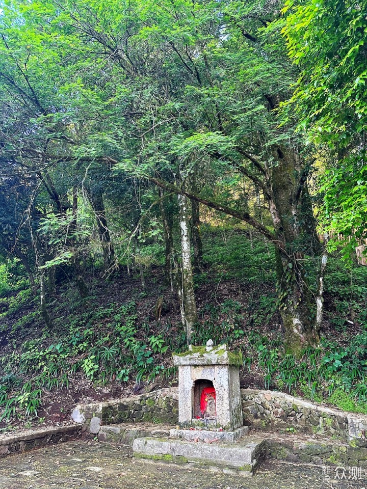 国内观鸟胜地，明溪旅游正当时_新浪众测