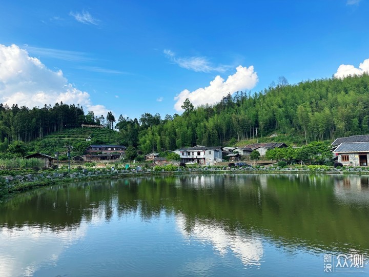 国内观鸟胜地，明溪旅游正当时_新浪众测