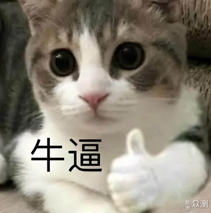 入门级真机械键盘，外观手感灯效一个不差！