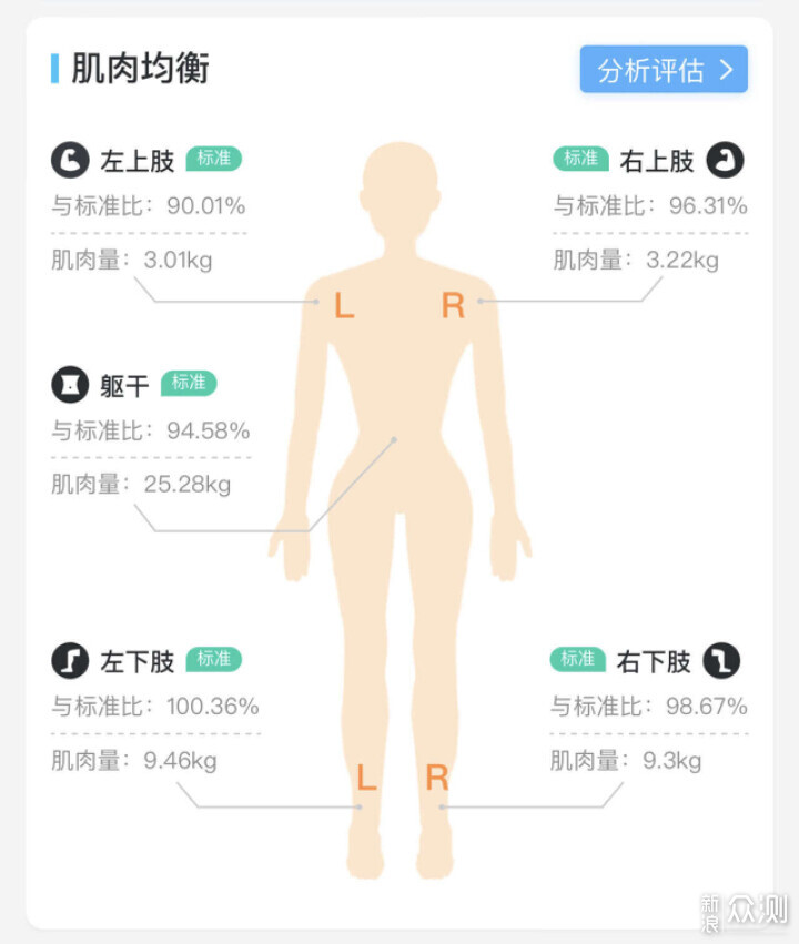 一分钟看懂体脂称体测数据，带你解读健康报告_新浪众测