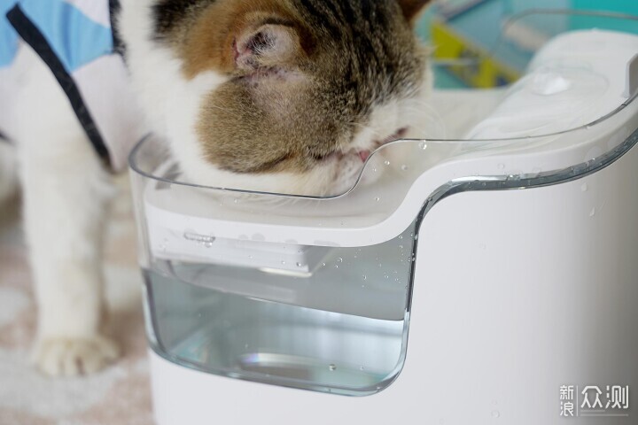 宠咕咕瀑布饮水机：猫咪爱上喝水，让出行无忧_新浪众测
