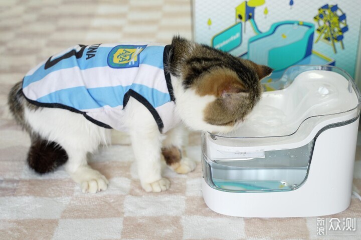 宠咕咕瀑布饮水机：猫咪爱上喝水，让出行无忧_新浪众测