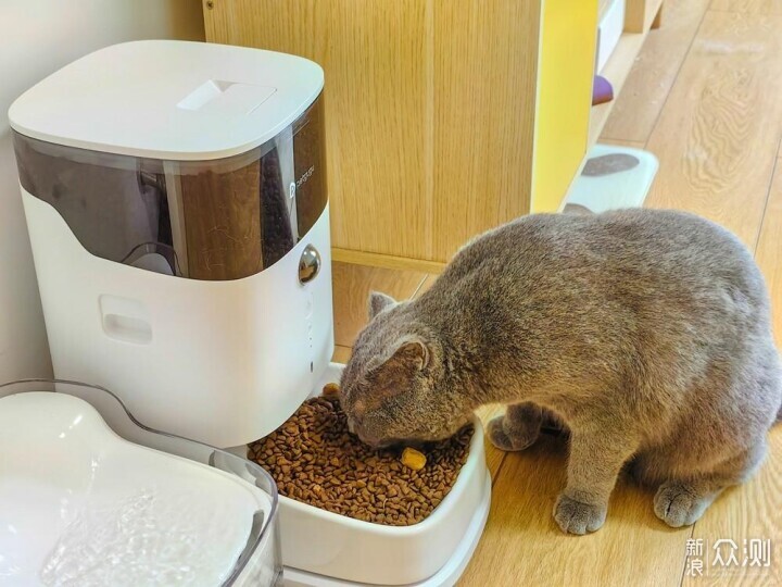 科学喂养智能省心，宠咕咕自动喂食器体验分享_新浪众测