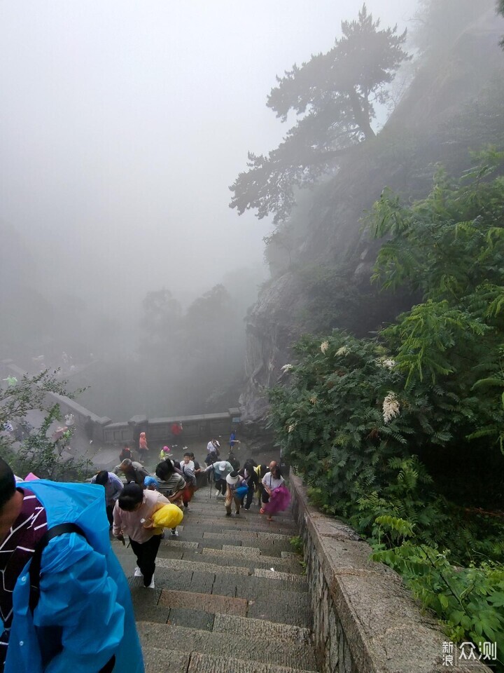 出游随拍：雨中登泰山用手机摄影记录的美景_新浪众测