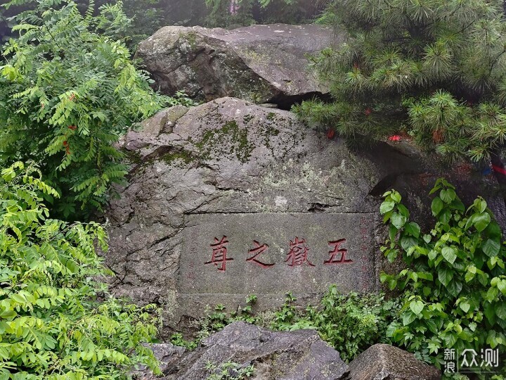 出游随拍：雨中登泰山用手机摄影记录的美景_新浪众测