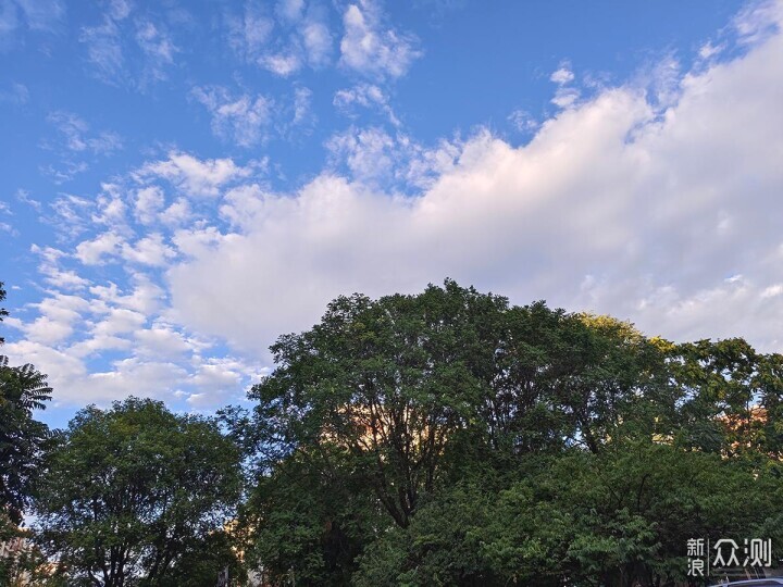 艳阳高照之手机摄影记录夏日里多姿的美景_新浪众测