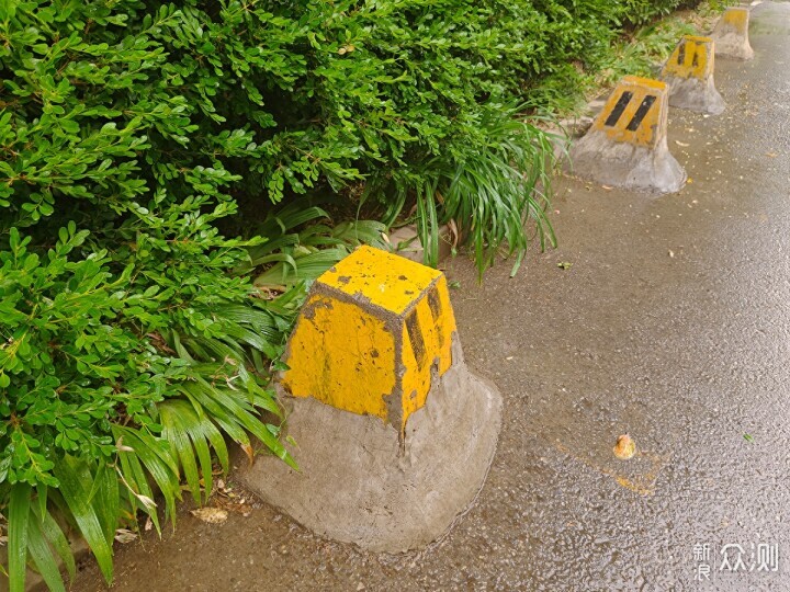 秋雨秋凉之手机摄影记录雨后公园的特别风景_新浪众测