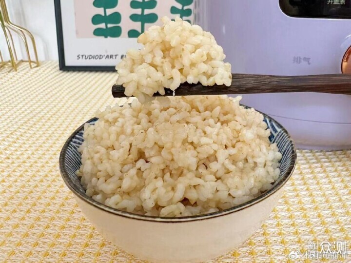 “亿”点点好用的电压力锅原来这样选 