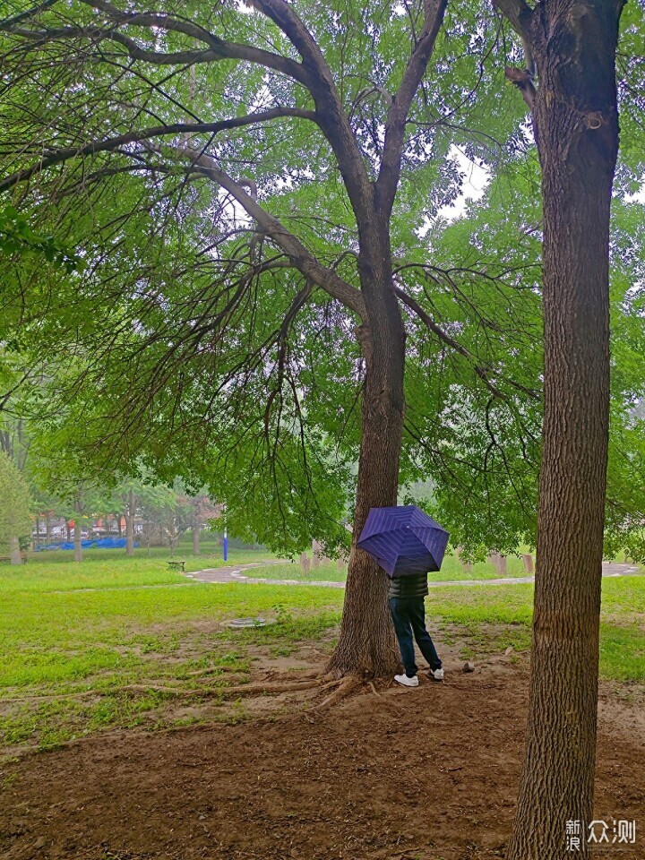 秋雨秋凉之手机摄影记录雨后公园的特别风景_新浪众测