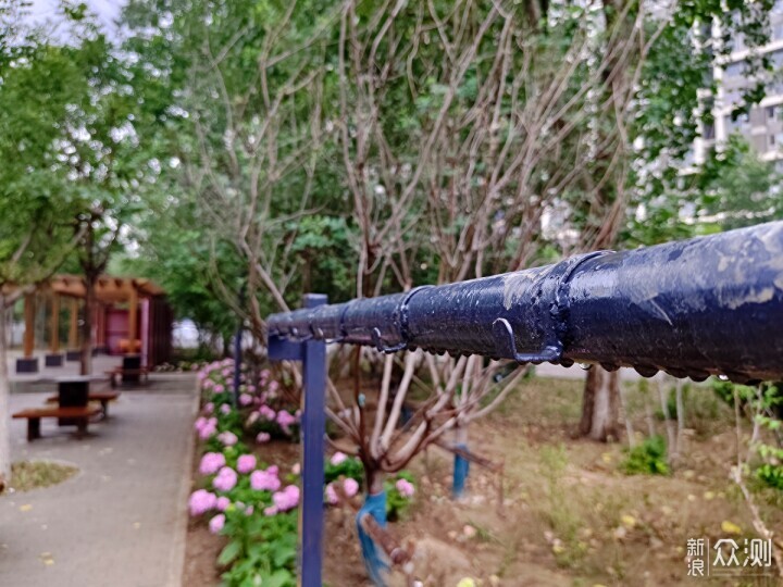 秋雨秋凉之手机摄影记录雨后公园的特别风景_新浪众测