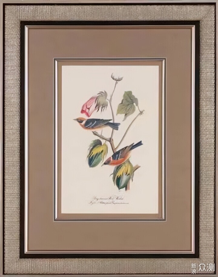 一文告诉你装饰画选购原则技巧，附8家小众店_新浪众测