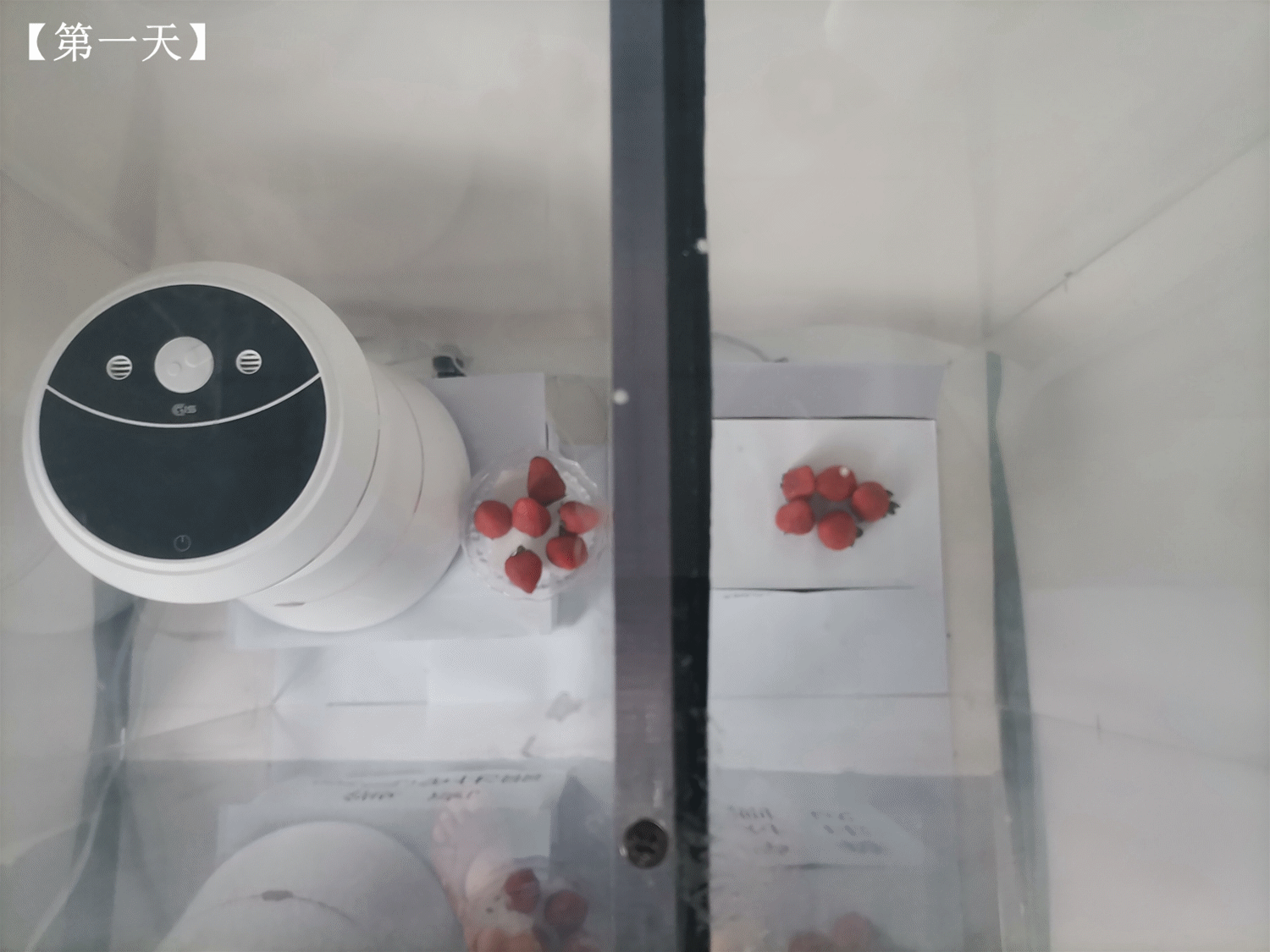 不用滤网也能消毒净化？微岚空气消毒机评测