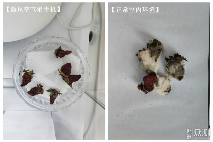 不用滤网也能消毒净化？微岚空气消毒机评测