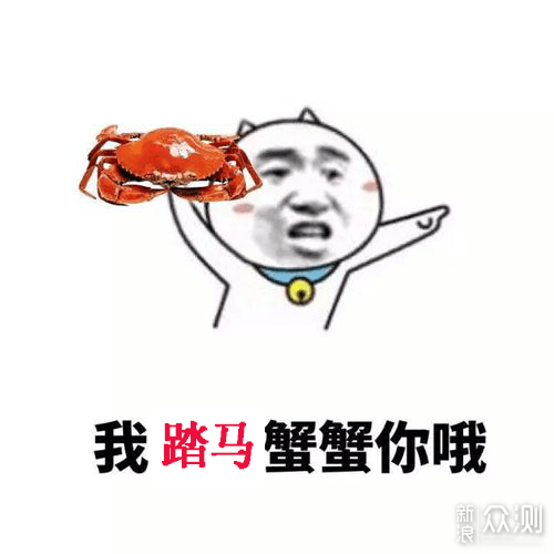 盘点8款值得推荐的PCIe4.0固态硬盘，1GB才2毛