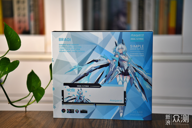 当二次元与性能结合：阿斯加特吹雪DDR5 6400