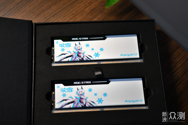 当二次元与性能结合：阿斯加特吹雪DDR5 6400