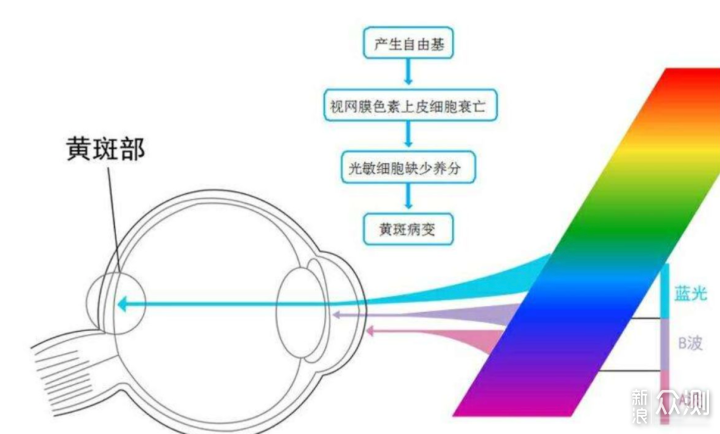 15款显示器横评！双十一显示器选购指南_新浪众测