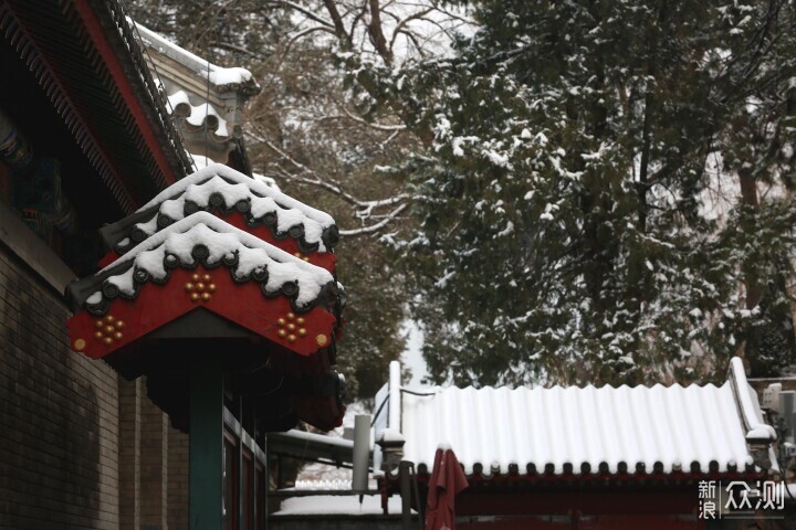 颐和园雪景图图片