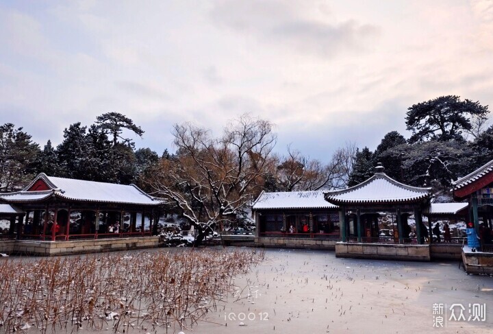 投石问路：用iQOO12手机摄影记录谐趣园雪景_新浪众测