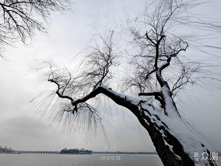 投石问路：用iQOO12手机摄影记录谐趣园雪景_新浪众测