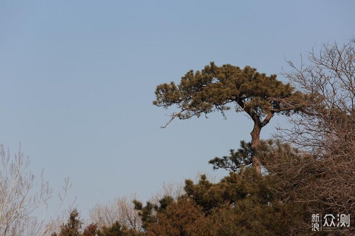 一镜走天下，颐和园苏州街游玩路线的美景记录_新浪众测