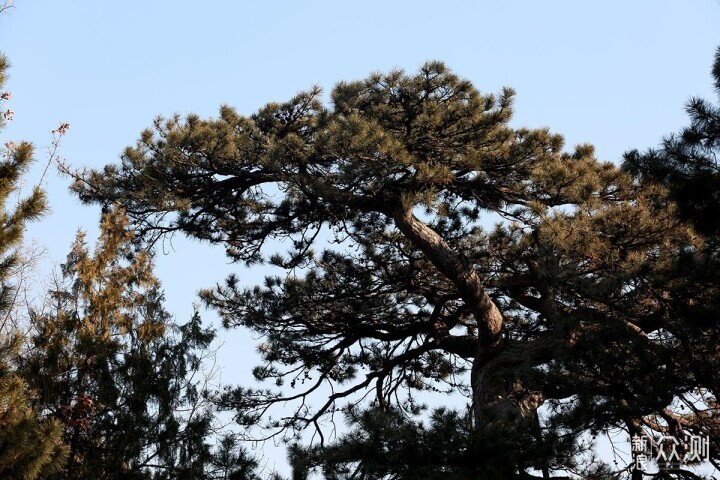 一镜走天下，颐和园苏州街游玩路线的美景记录_新浪众测