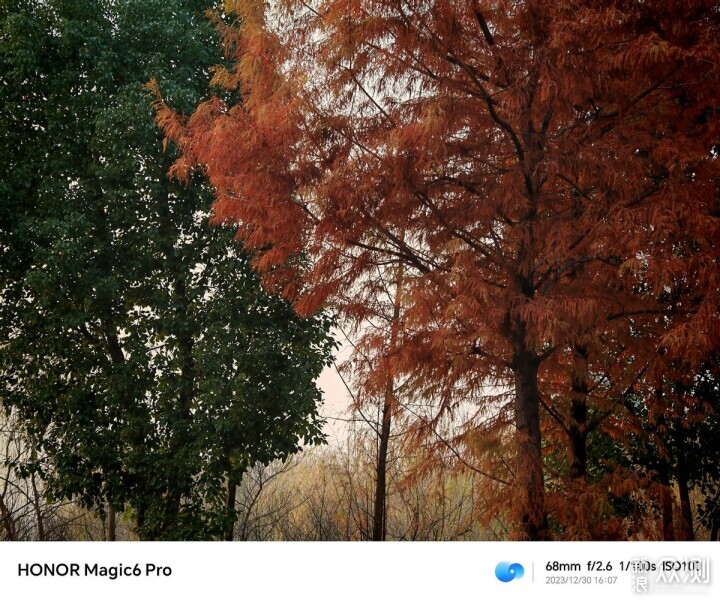 当打之作，聊聊开年旗舰荣耀Magic6 Pro的影像_新浪众测