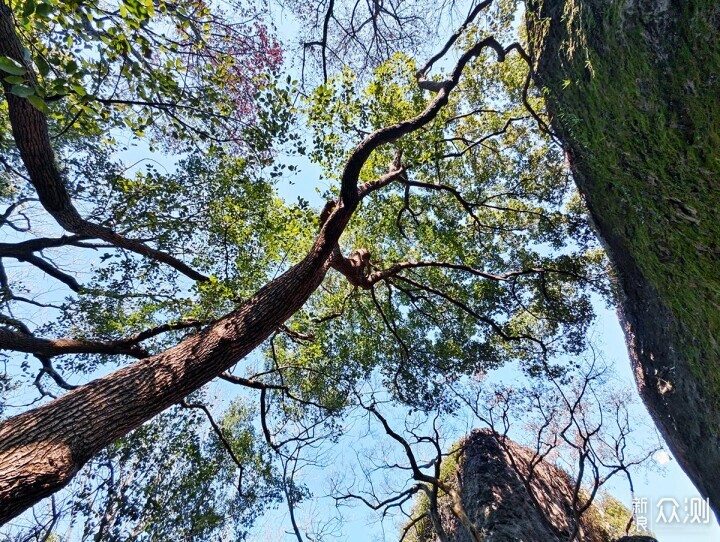 有你更酷，两线体验宝石山登高看西湖的美景_新浪众测