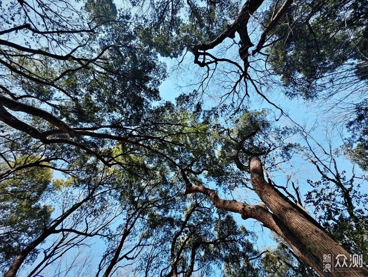 有你更酷，两线体验宝石山登高看西湖的美景_新浪众测