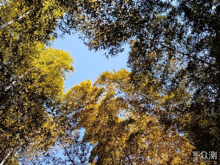 有你更酷，两线体验宝石山登高看西湖的美景_新浪众测