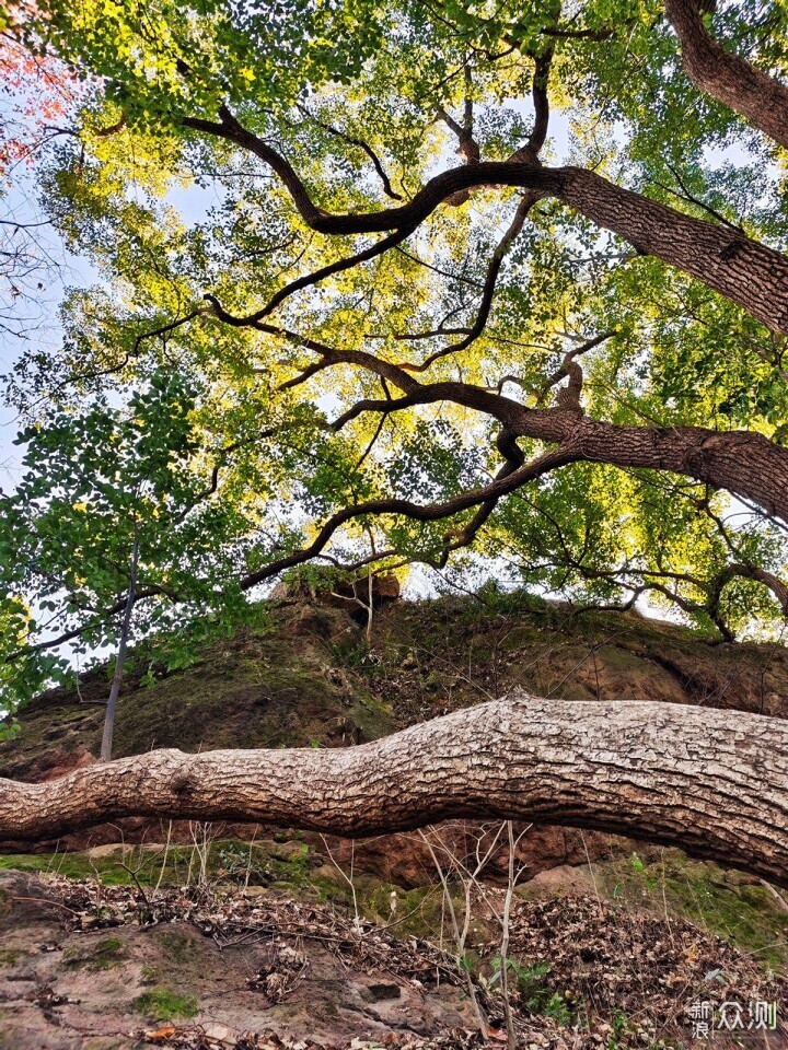 有你更酷，两线体验宝石山登高看西湖的美景_新浪众测