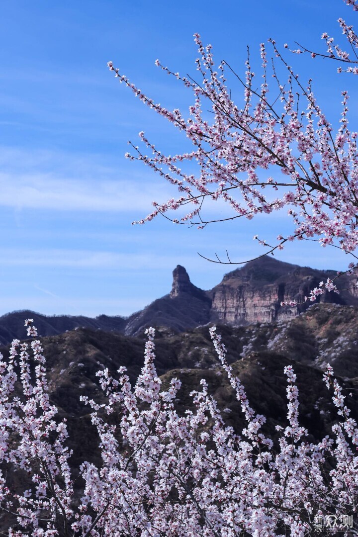 【Vlog】这个四月来九龙峡赏桃花吧_新浪众测