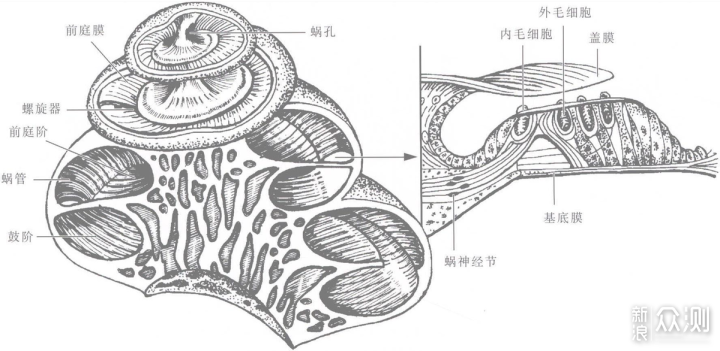 夕阳的天空有左点一抹色彩：左点骨传导助听器_新浪众测