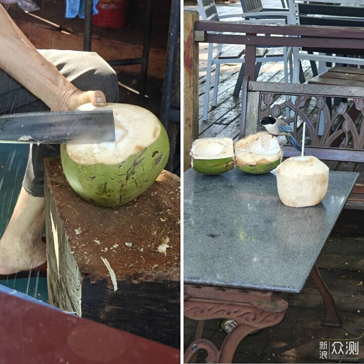 出发海口，是走错方向的暑假旅行吗？？_新浪众测