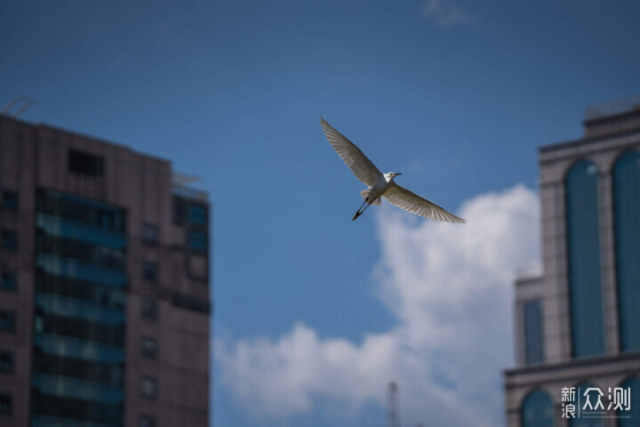 适马70-200mmF2.8 DG DN，经典的「原厂」长焦_新浪众测