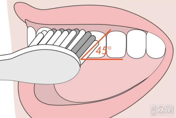 遵循巴氏刷牙法，米家声波扫振电动牙刷_新浪众测