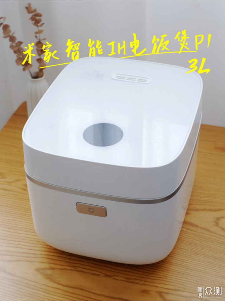 实际上，我对米锅的气味感到困惑！