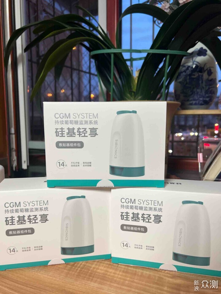 基于硅的更精确，环境环境和动态葡萄糖表