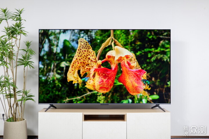 TCL T7L Pro Mini LED电视：Dotiane分区截然不同