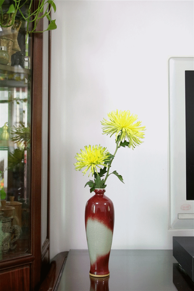 花瓶插花动态图片图片