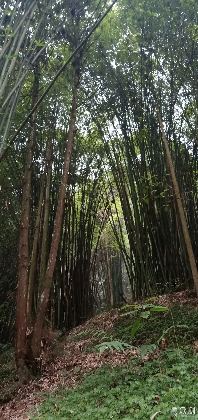 赤水丹霞景区惊艳赤水大瀑布（十丈洞景区）_新浪众测