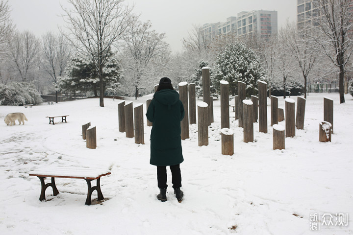 2020瑞雪兆丰年，北京第二场雪里的狗狗奇遇_新浪众测