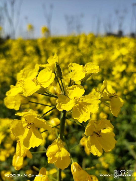 生而强悍，iQOO 3 5G性能旗舰_新浪众测